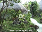 Insel-Erkundung