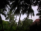 2004
