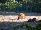 Groß und klein