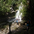 die Wainui Falls (10m)