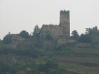 Weinberge an der Burg