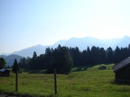 zur Alpe Dornach