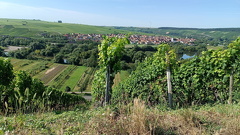 Mainschleife