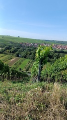 Escherndorf und Nordheim
