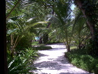 2004