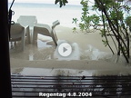 Regentag mit Delfinen und Krabben