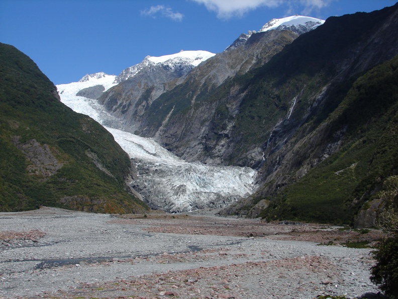 Der Franz Josef Gletscher -- (auch hier gibt es Ameisen)