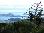2006