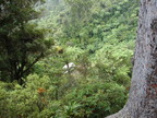 2006