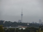 Maungakiekie