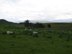 Torvaig (Portree) Campsite