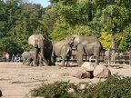 2008