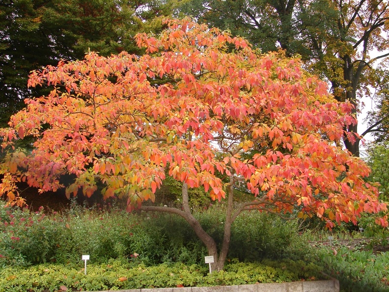 Herbstfarben