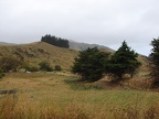 2011 03 Neuseeland