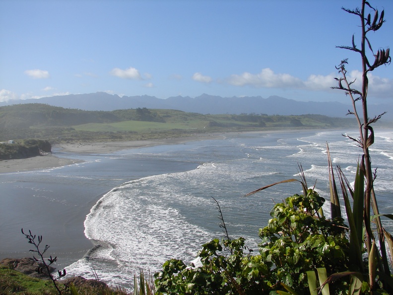 Tauranga Bay View