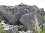 Locations