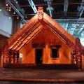 Maori HAus