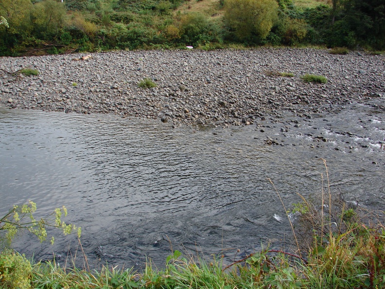 Aragorns Rettung