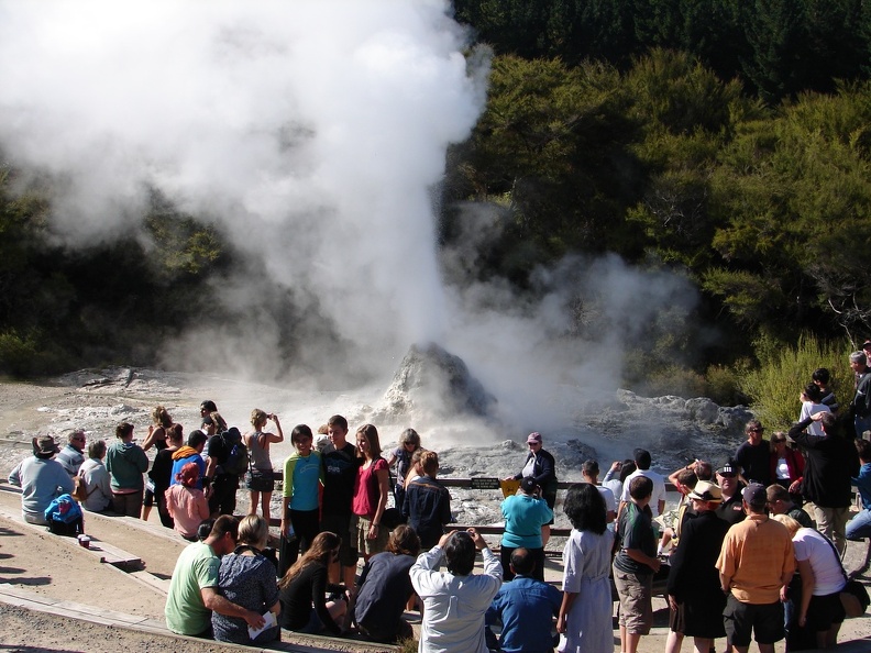 Lady Knox Geyser