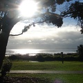 schöner Morgen am Orewa Beach