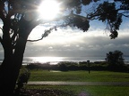 schöner Morgen am Orewa Beach
