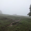 zur Alm