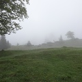 im Nebel