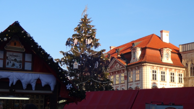 Weihnachtsbaum -- vor dem Palais Kinsky