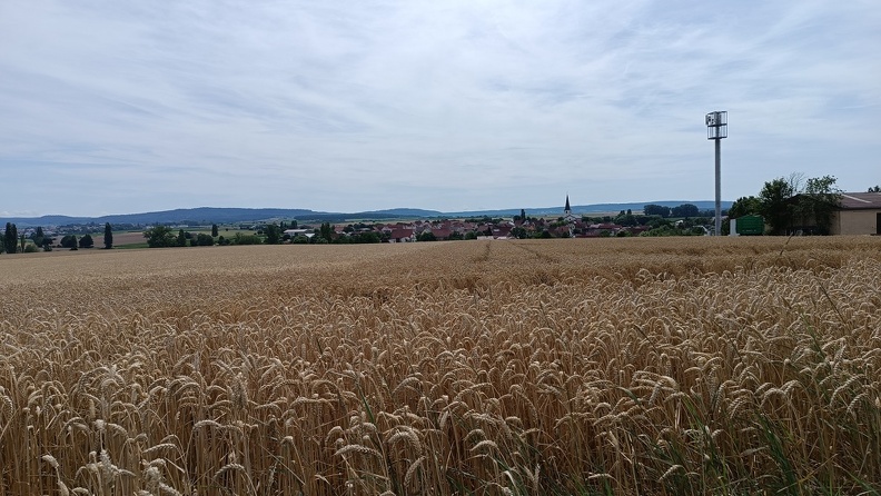 Felder bei Frankenwinheim